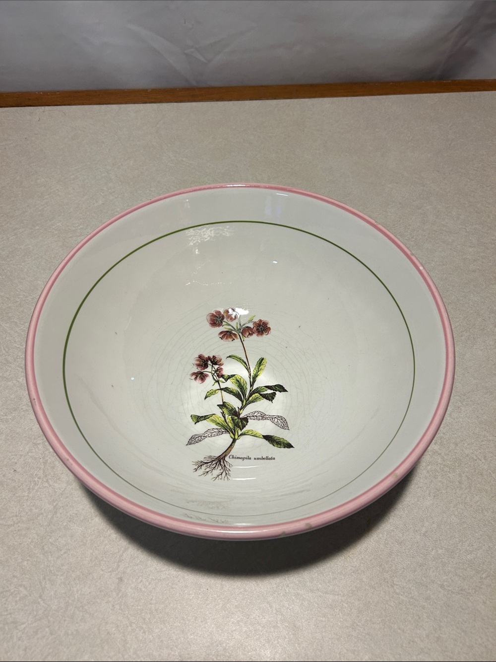 Vintage Primula Made in Italy Large Pasta Serving Bowl 12" Chimaphila Umbellata